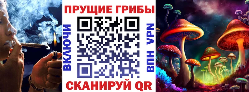 kraken онион  Устюжна  Псилоцибиновые грибы GOLDEN TEACHER 